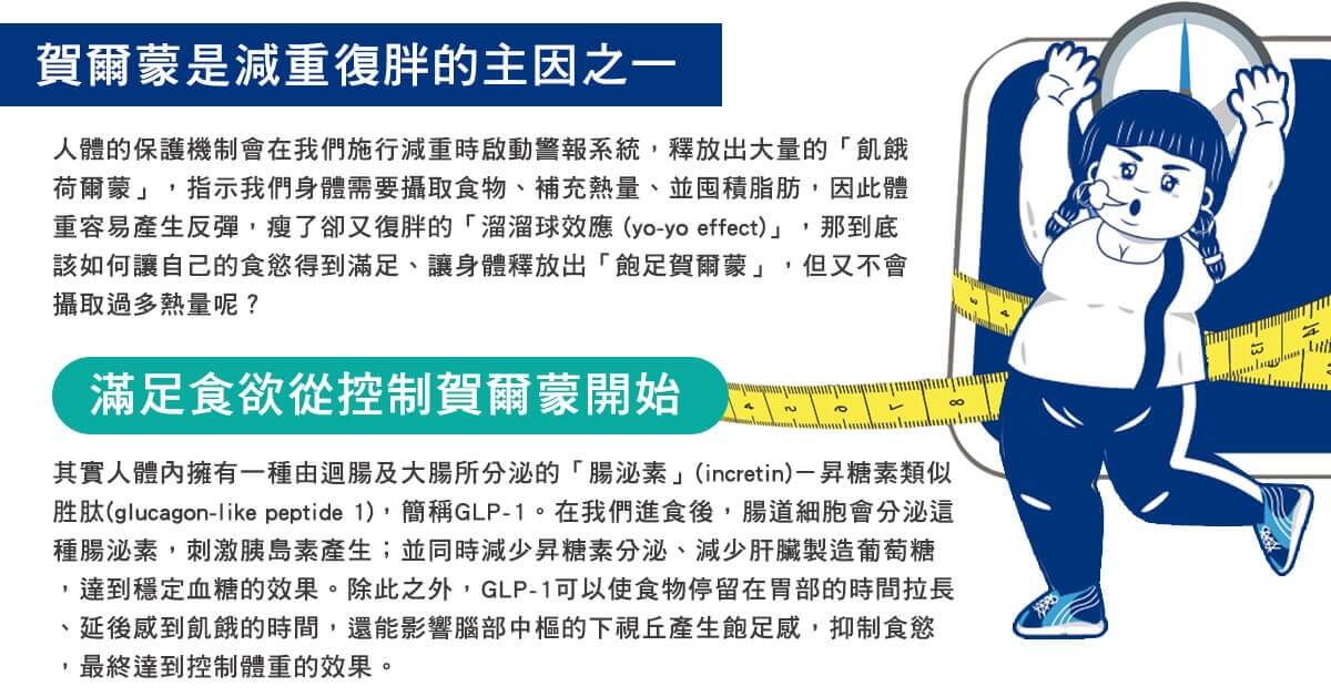 減肥失敗復胖的原因跟賀爾蒙的影響有關