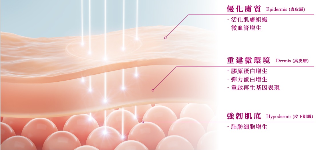 舒顏萃為全球第一個 經臨床實驗證實的再生型膠原蛋白增生劑