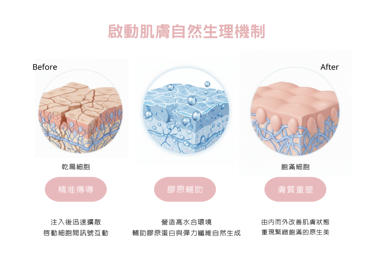 Doublyx EVO 彈力針作用原理-啟動肌膚自然生理機制