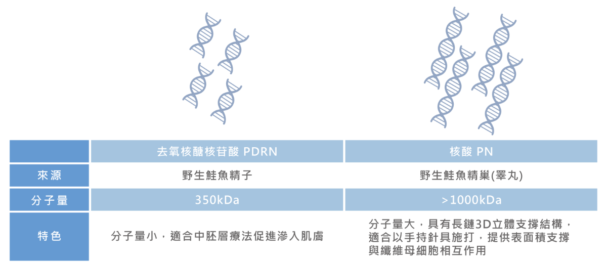 PDRN來源為鮭魚的精子、分子量小；PN來源為PN、分子量大