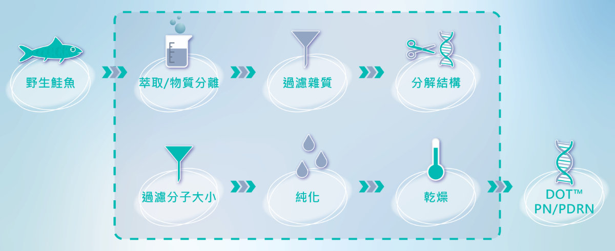 Rejuran麗珠蘭獨家DOT™專利技術