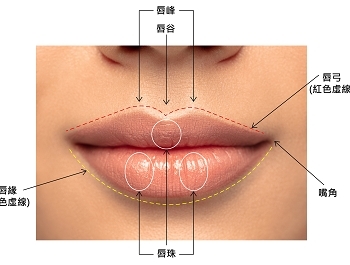 韓劇女主天使般微笑曲線 玻尿酸打造自然上揚弧度微笑唇